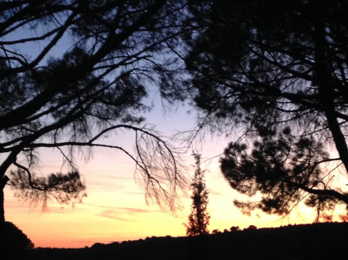 La Picholine En Provence Hotel Nyons Luaran gambar